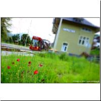 2014-07-19 Stubaitalbahn Fulpmes 07.jpg